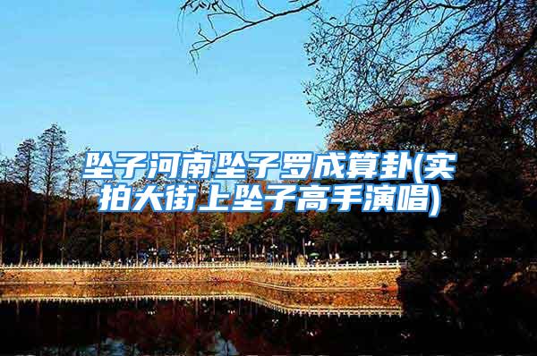 坠子河南坠子罗成算卦(实拍大街上坠子高手演唱)