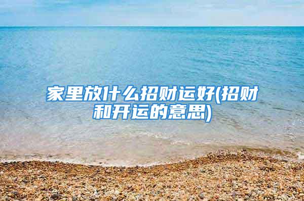 家里放什么招财运好(招财和开运的意思)