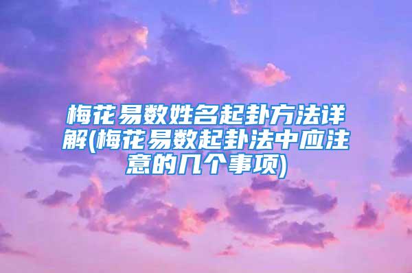 梅花易数姓名起卦方法详解(梅花易数起卦法中应注意的几个事项)