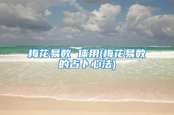 梅花易数 体用(梅花易数的占卜心法)