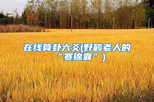 在线算卦六爻(野鹤老人的“赛锦囊”)
