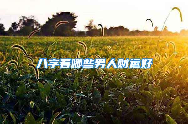 八字看哪些男人财运好
