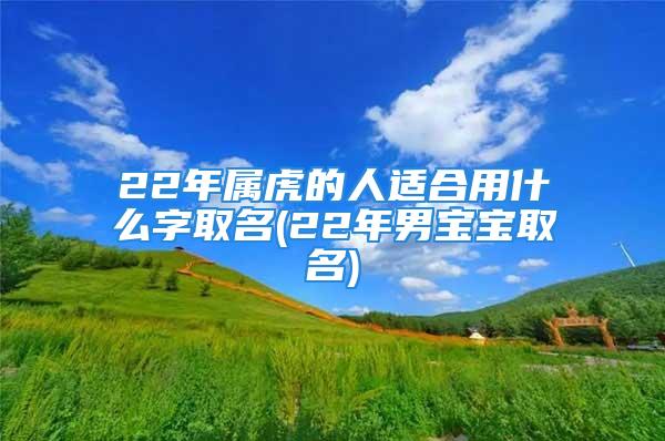 22年属虎的人适合用什么字取名(22年男宝宝取名)