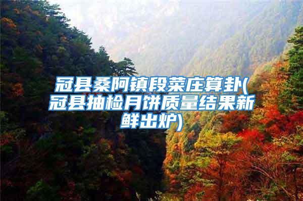 冠县桑阿镇段菜庄算卦(冠县抽检月饼质量结果新鲜出炉)