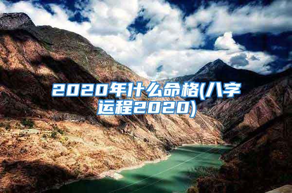 2020年什么命格(八字运程2020)
