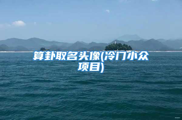 算卦取名头像(冷门小众项目)