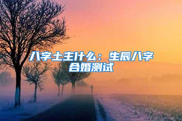 八字土主什么：生辰八字合婚测试