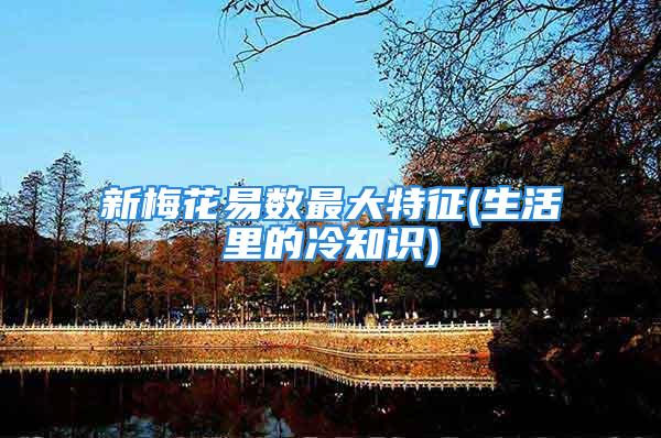新梅花易数最大特征(生活里的冷知识)