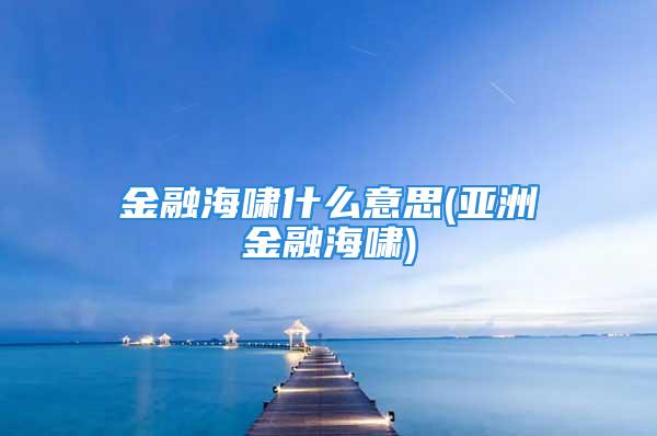 金融海啸什么意思(亚洲金融海啸)