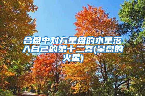 合盘中对方星盘的水星落入自己的第十二宫(星盘的火星)