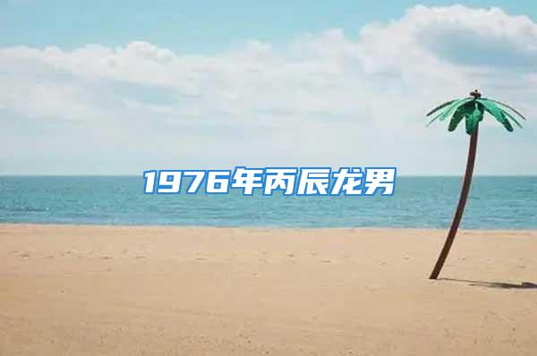 1976年丙辰龙男