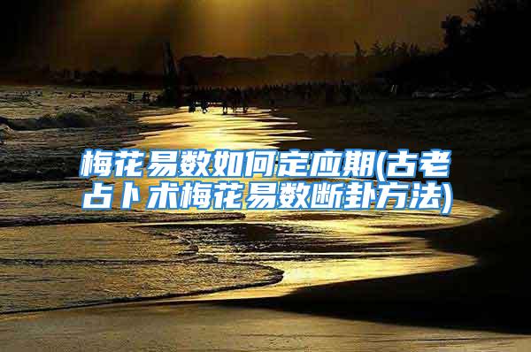 梅花易数如何定应期(古老占卜术梅花易数断卦方法)