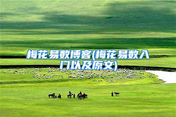 梅花易数博客(梅花易数入门以及原文)
