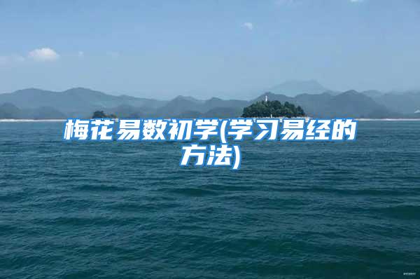 梅花易数初学(学习易经的方法)