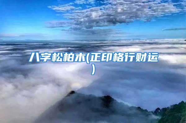 八字松柏木(正印格行财运)