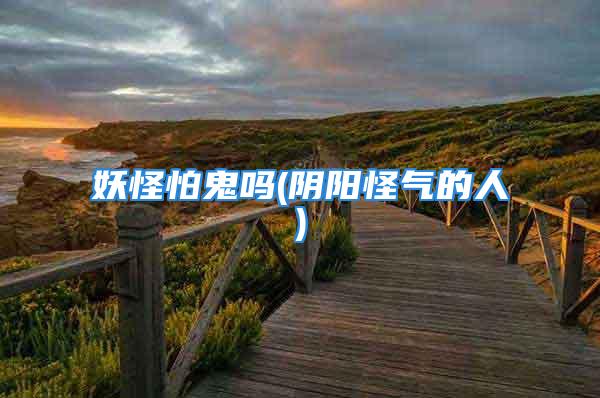 妖怪怕鬼吗(阴阳怪气的人)