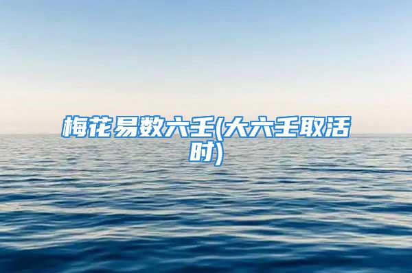 梅花易数六壬(大六壬取活时)