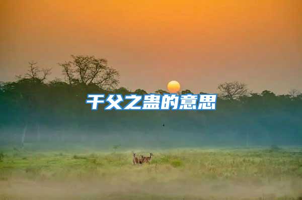 干父之蛊的意思