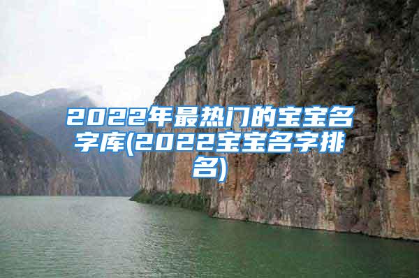 2022年最热门的宝宝名字库(2022宝宝名字排名)