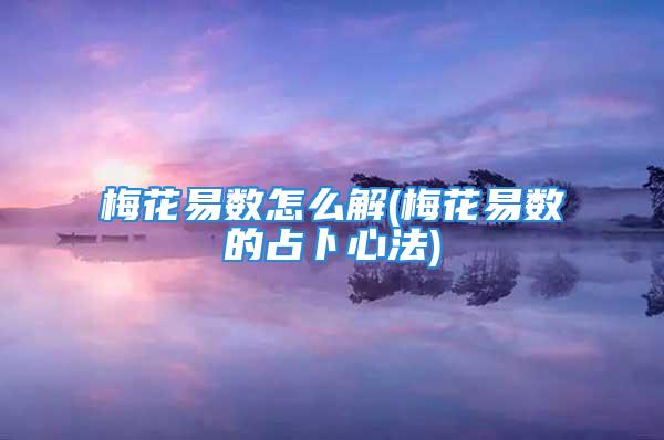 梅花易数怎么解(梅花易数的占卜心法)