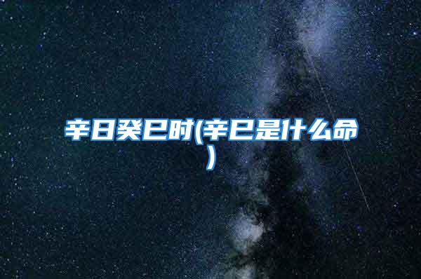 辛日癸巳时(辛巳是什么命)