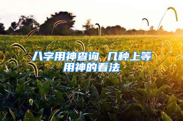 八字用神查询 几种上等用神的看法