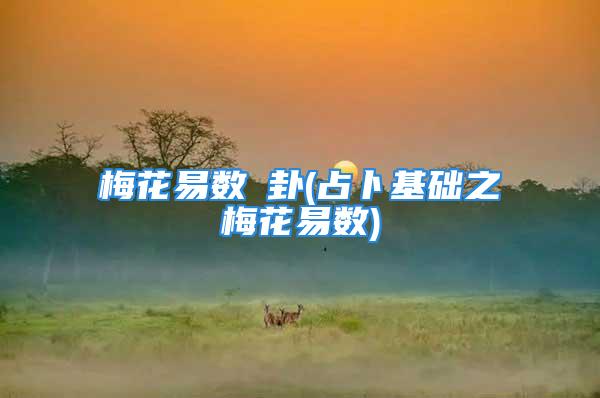 梅花易数夬卦(占卜基础之梅花易数)