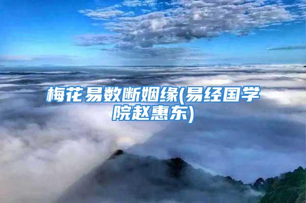 梅花易数断姻缘(易经国学院赵惠东)