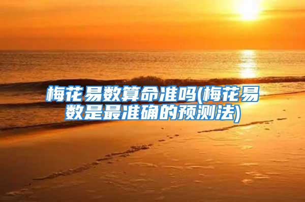 梅花易数算命准吗(梅花易数是最准确的预测法)