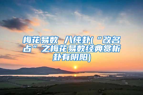 梅花易数 八纯卦(“改名占”之梅花易数经典赏析卦有阴阳)