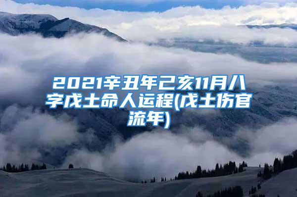 2021辛丑年己亥11月八字戊土命人运程(戊土伤官流年)