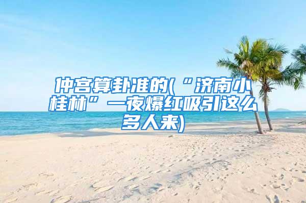 仲宫算卦准的(“济南小桂林”一夜爆红吸引这么多人来)