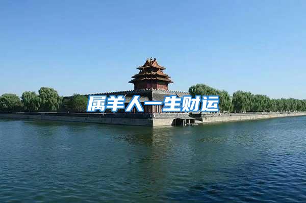 属羊人一生财运