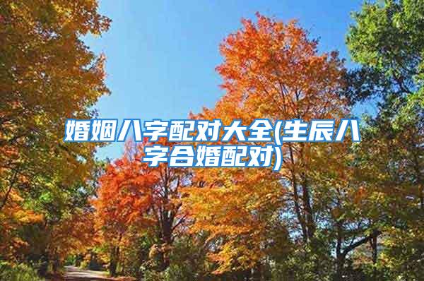 婚姻八字配对大全(生辰八字合婚配对)