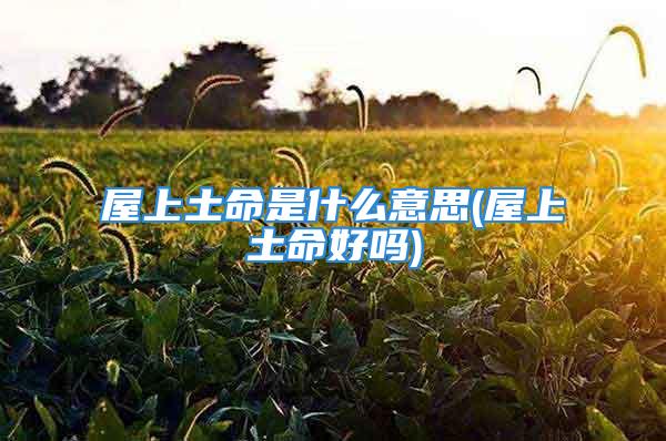 屋上土命是什么意思(屋上土命好吗)