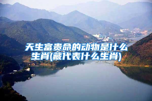 天生富贵命的动物是什么生肖(藏代表什么生肖)