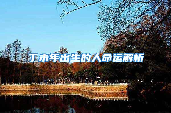 丁未年出生的人命运解析