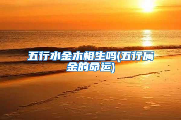 五行水金木相生吗(五行属金的命运)