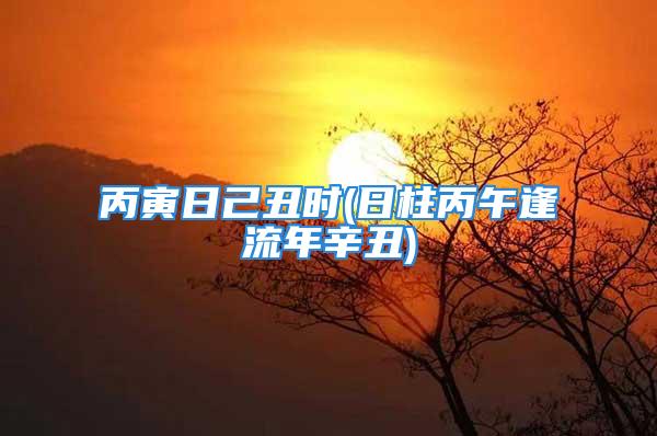 丙寅日己丑时(日柱丙午逢流年辛丑)