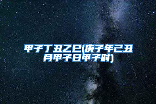 甲子丁丑乙巳(庚子年己丑月甲子日甲子时)