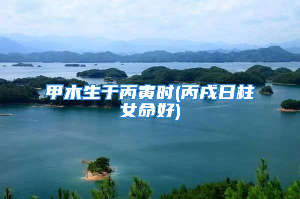 甲木生于丙寅时(丙戌日柱女命好)