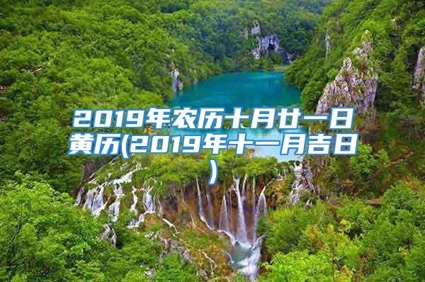 2019年农历十月廿一日黄历(2019年十一月吉日)