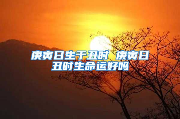 庚寅日生于丑时 庚寅日丑时生命运好吗
