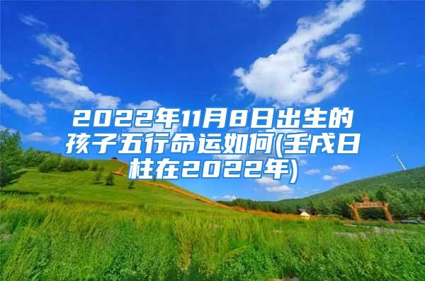 2022年11月8日出生的孩子五行命运如何(壬戌日柱在2022年)