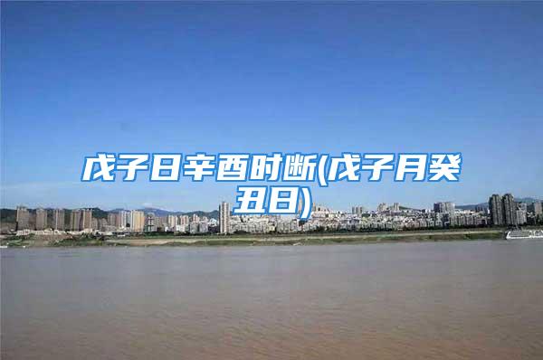 戊子日辛酉时断(戊子月癸丑日)
