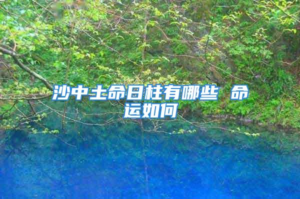 沙中土命日柱有哪些 命运如何