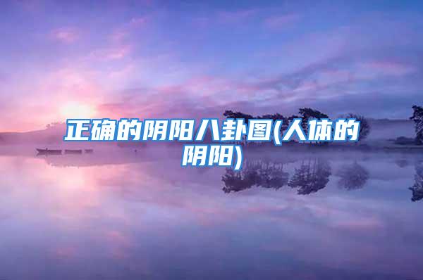 正确的阴阳八卦图(人体的阴阳)