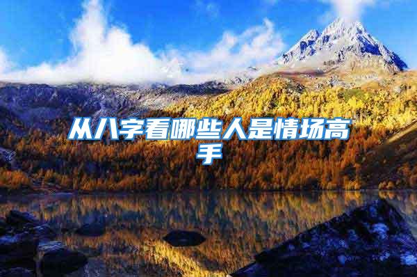 从八字看哪些人是情场高手