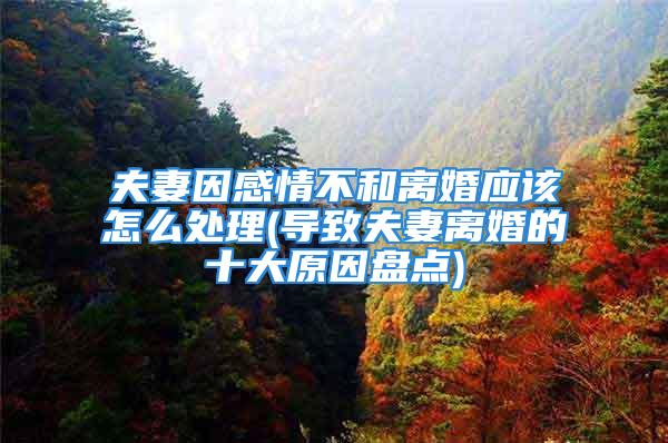 夫妻因感情不和离婚应该怎么处理(导致夫妻离婚的十大原因盘点)