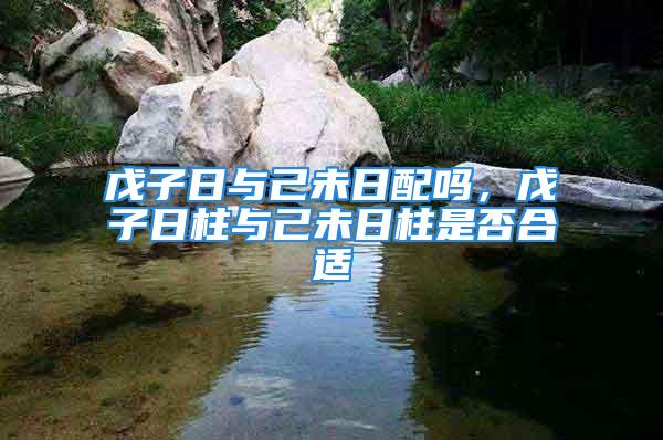 戊子日与己未日配吗，戊子日柱与己未日柱是否合适